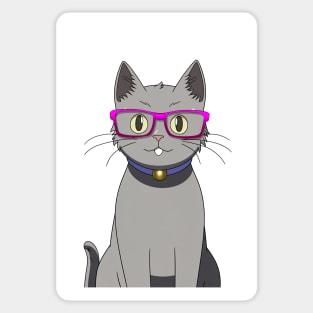 Cute Grey Cat with Nerdy Pink Glasses - Anime Wallpaper Sticker